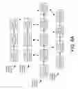 Fig. 10 - Solution packages including segments of a process chain