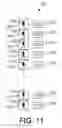 Fig. 19 - SYSTEM, METHOD, APPARATUS, AND COMPUTER PROGRAM PRODUCT FOR AN ELECTRONIC, CROWDSOURCED MARKETING CAMPAIGN