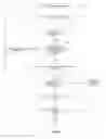 Fig. 08 - Smart trade template based matching