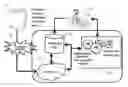 Fig. 01 - Method and system for merging data or information
