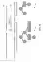 Fig. 11 - DATA REPRESENTATION FOR PUSH-BASED QUERIES