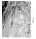 Fig. 19 - Apparatus and method for identifying the creator of a work of art