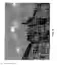Fig. 20 - Apparatus and method for identifying the creator of a work of art