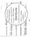 Fig. 12 - Fuzzy keyword searching
