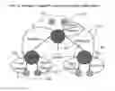 Fig. 10 - SYSTEM AND METHOD FOR THE CONTROL AND MANAGEMENT OF MULTIPOINT CONFERENCE