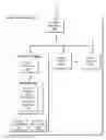 Fig. 01 - Extending caching network functionality to an existing streaming media server