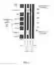 Fig. 10 - Programmable Management IO Pads for an Integrated Circuit