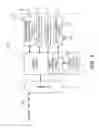 Fig. 04 - TERMINAL AND WIRELESS COMMUNICATION METHOD THEREOF