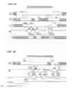 Fig. 28 - NONVOLATILE MEMORY SYSTEM, AND DATA READ/WRITE METHOD FOR NONVOLATILE MEMORY SYSTEM