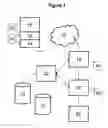 Fig. 04 - Dynamic identity authentication system