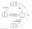 Fig. 01 - Crytographic method for anonymous authentication and separate identification of a user