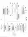 Fig. 20 - Transmitting sports and entertainment data to wireless hand held devices over a telecommunications network
