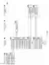 Fig. 04 - Providing Dynamic Content with an Electronic Video