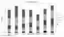 Fig. 01 - Pea line 08560906