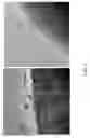 Fig. 08 - Elastomeric composites with tether-containing, conducting polymers for nanoscale diffusion control