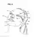Fig. 09 - FACIAL MASK