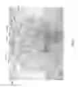 Fig. 06 - Nursing and infant support pillow