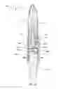 Fig. 11 - Paint brush with reinforced ferrule construction