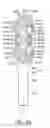 Fig. 25 - Oral care implement