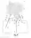 Fig. 04 - FLORAL EASEL