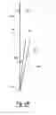 Fig. 10 - FLORAL EASEL