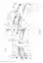 Fig. 02 - Cutting Apparatus