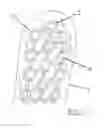 Fig. 03 - FOOTWEAR SOLE