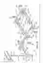 Fig. 07 - Panel fastening assembly and method of using the same to display an advertising panel
