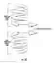 Fig. 08 - Apparatus for combusting a fuel at high pressure and high temperature, and associated system