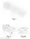 Fig. 02 - ORNAMENTAL ARTICLE OF JEWELRY