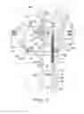 Fig. 07 - Device for takedown of the article being formed, for circular knitting machines