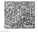 Fig. 01 - ELECTRODEPOSITED GOLD NANOSTRUCTURES