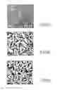 Fig. 02 - ELECTRODEPOSITED GOLD NANOSTRUCTURES