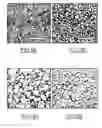 Fig. 03 - ELECTRODEPOSITED GOLD NANOSTRUCTURES