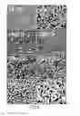 Fig. 05 - ELECTRODEPOSITED GOLD NANOSTRUCTURES