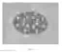 Fig. 05 - Ding inspection device