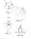 Fig. 05 - Piercing device, particularly for capsules for preparing beverages and the like