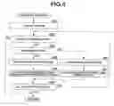 Fig. 05 - Key determination apparatus and storage medium storing key determination program