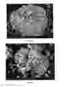 Fig. 06 - Methods and compositions using calcium carbonate