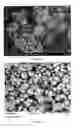Fig. 08 - Methods and compositions using calcium carbonate