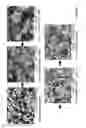 Fig. 12 - Methods and compositions using calcium carbonate