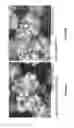 Fig. 13 - Methods and compositions using calcium carbonate
