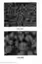 Fig. 35 - Methods and compositions using calcium carbonate