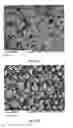 Fig. 37 - Methods and compositions using calcium carbonate