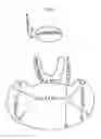 Fig. 05 - Mouse and wrist pad glider
