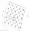 Fig. 19 - REPLACEABLE WET-SET TACTILE WARNING SURFACE UNIT AND METHOD OF INSTALLATION AND REPLACEMENT