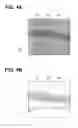 Fig. 05 - Manufacturing method of silicon carbide single crystal