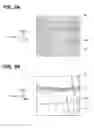 Fig. 06 - Manufacturing method of silicon carbide single crystal
