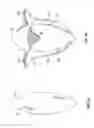 Fig. 10 - SHAGGY PET TOY AND METHOD OF CONSTRUCTION