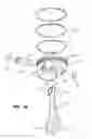 Fig. 17 - Engine